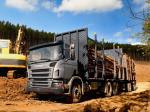 Scania P340 6x4 Timber Truck 2004 года (BR)